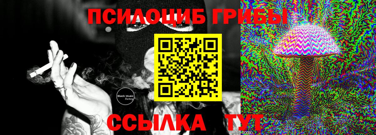 Галлюциногенные грибы Psilocybine cubensis Большой Камень